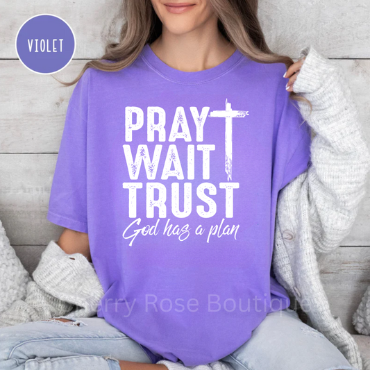 Pray Wait Trust in White Comfort Color Tshirt, Tee